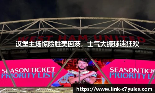 汉堡主场惊险胜美因茨，士气大振球迷狂欢