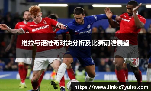 维拉与诺维奇对决分析及比赛前瞻展望